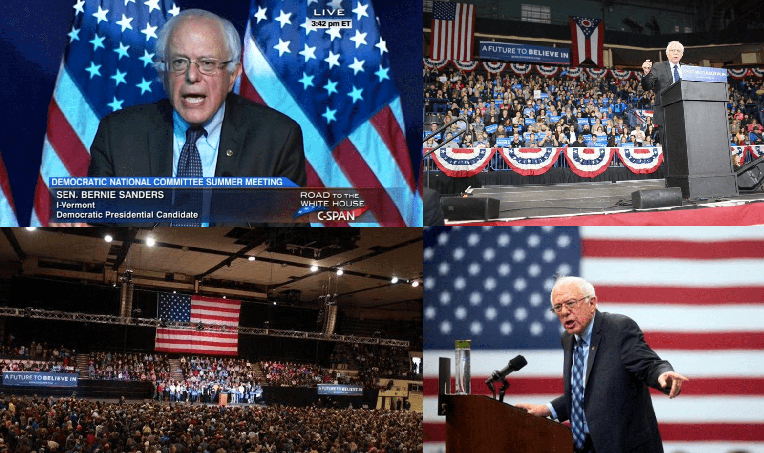 sanders