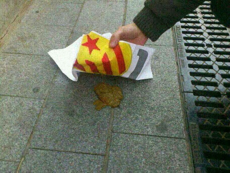 Catalunya neta