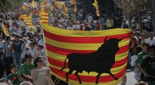 toros amposta