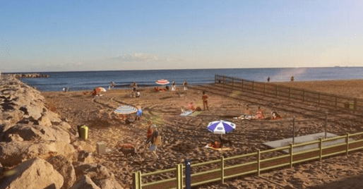 playa perros