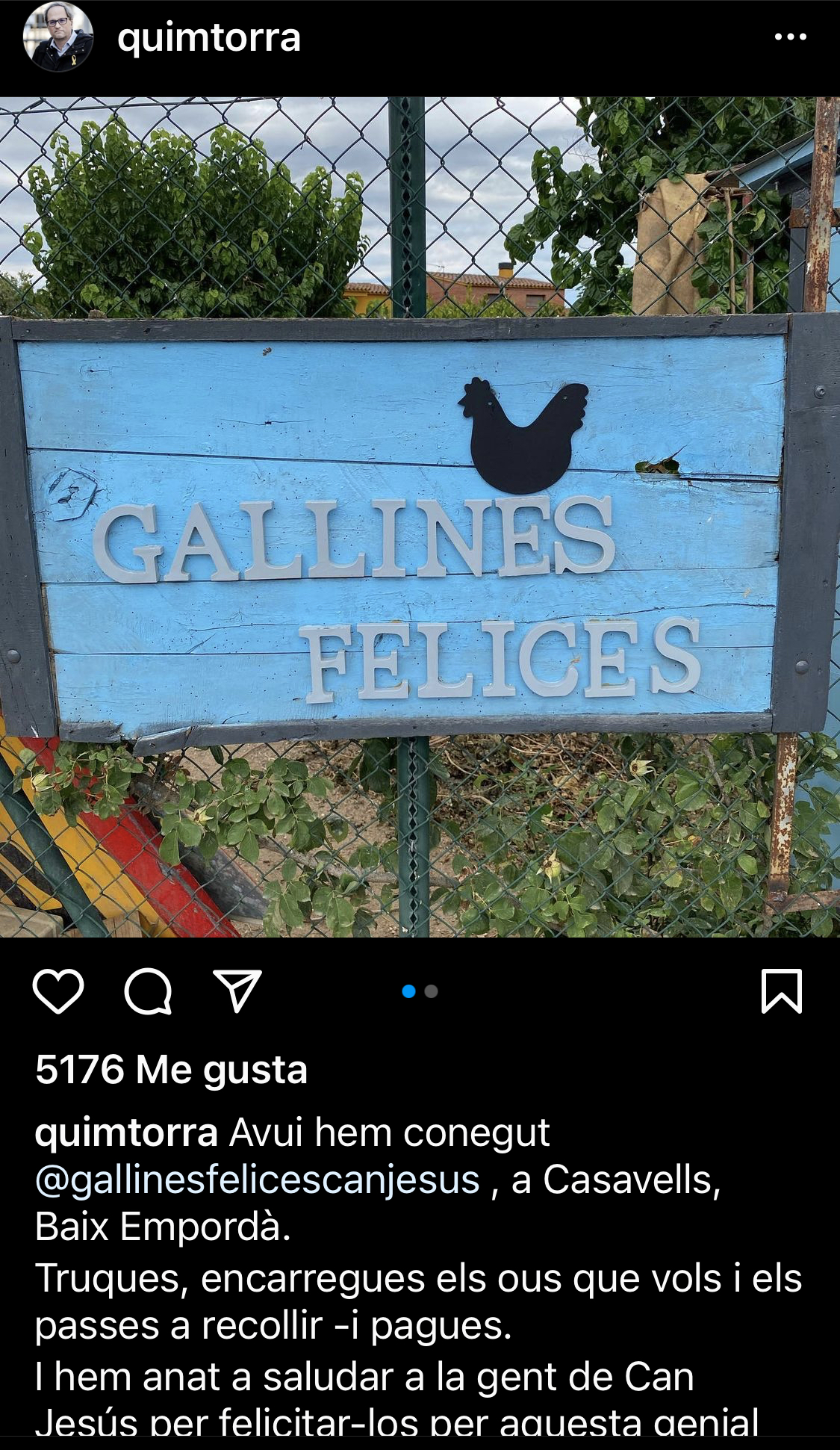 Gallinas felices»: a esto se dedica ahora el expresidente Quim racisTorra –  Dolça Catalunya